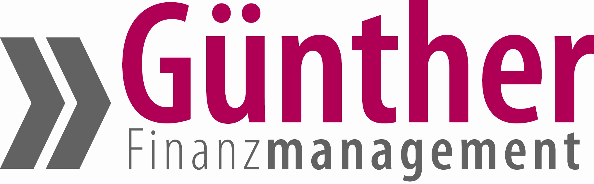 Günther Finanzmanagement GmbH & Co. KG Logo